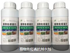 黑龙江有机菌液肥一手货源与生物质能技术服务