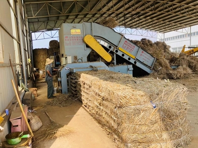 凉泉乡 “秸”尽所能蹚出致富路，生物有机肥研发激活绿色农业新引擎