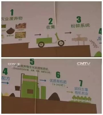 从“肥料研发”到“亲子体验园” 一场月入百万的绿色转型传奇