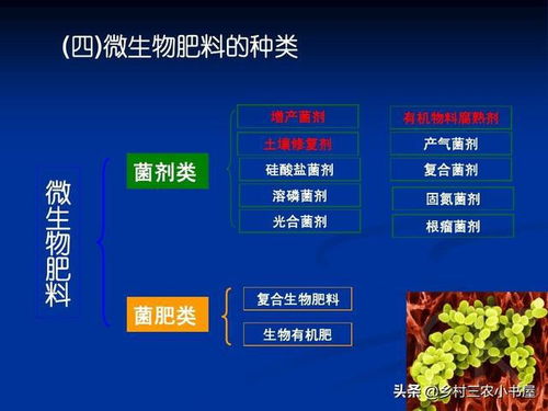 可持续发展之光 有机农业的技术实践与生物质能的协同发展