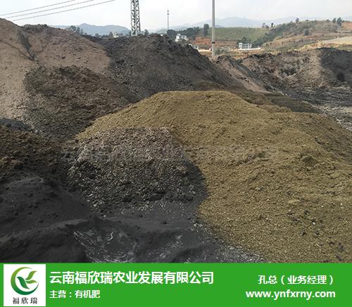 云南生物有机肥价格指南 福欣瑞农业以技术服务赋能绿色农业