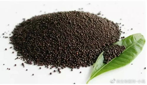 微生物肥料 土壤污染的克星与中国农业的未来