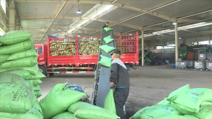 科技赋能绿色农业 定西市生物有机肥料研发助力农业减肥增效